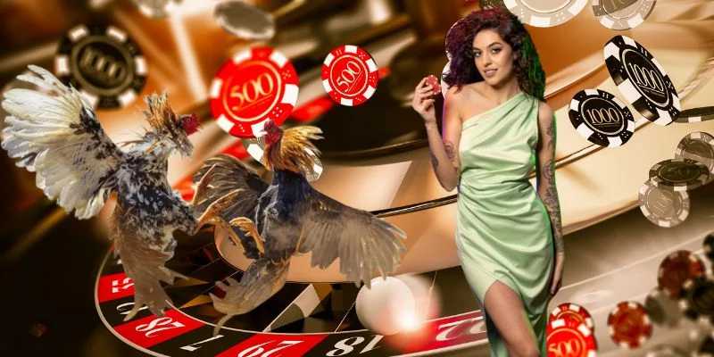 ALO789 Leeds - Mega Live Đá Gà alo789.com T10/2026 2 Giới thiệu Alo789